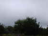 mdDads-n-Lads2006163.jpg (38264 bytes)