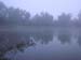 dnl_2009_0180